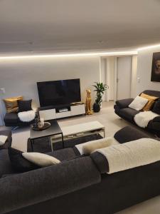 貝克斯的住宿－Appartement moderne avec terrasse et piscine à Châtel sur Bex，带沙发和平面电视的客厅