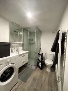 a bathroom with a shower and a washing machine at Le Studio de Ella in Bouxwiller