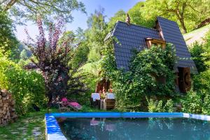 a house with a swimming pool in the yard at Baba Yagas house in Rakhiv