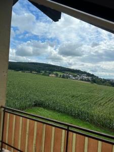 uma vista para um grande campo de milho a partir de uma janela em Monteur und Fremdenzimmer Ützhausen em Schlitz