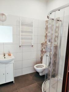a bathroom with a toilet and a sink at Hostel Rycerska in Wałbrzych