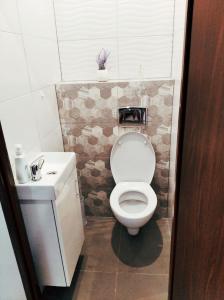 ein kleines Bad mit WC und Waschbecken in der Unterkunft Pokoje gościnne w centrum in Wałbrzych