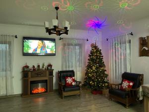 モイセイにあるCabana Maramures Landscapeのリビングルーム(クリスマスツリー、テレビ付)