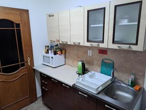 uma cozinha com um lavatório e um micro-ondas em Azalka Penzion em Brno
