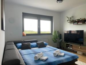 a living room with a couch with towels on it at Luna,central,self-check in,AC,WI-FI, washer,free parking in Zaprešić