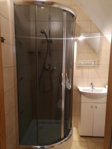 uma casa de banho com um chuveiro e um lavatório. em Apartament Stary Rynek em Stary Sacz