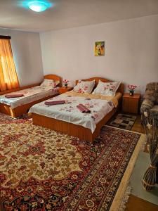 sypialnia z 2 łóżkami i dywanem w obiekcie Casa Rozalia w mieście Breazova