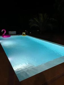 a swimming pool at night with a swan in it at Maison de vacances in Ventiseri
