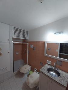 a bathroom with a sink and a shower at Tu Casita de Paso in General Acha
