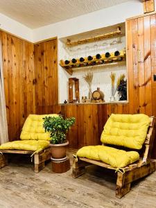 dwa żółte krzesła w pokoju z drewnianymi ścianami w obiekcie ECO guest house w mieście Berd