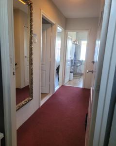 a hallway with a mirror and a red carpet at Bed & Budget123 in Twello +49 photos