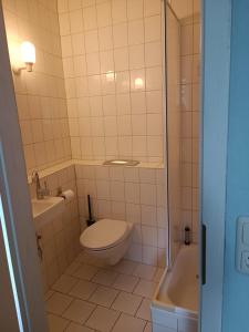 a small bathroom with a toilet and a sink at Pension Thüringer Wald in Reichmannsdorf