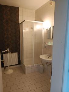 W łazience znajduje się prysznic i umywalka. w obiekcie Pension Thüringer Wald w mieście Reichmannsdorf