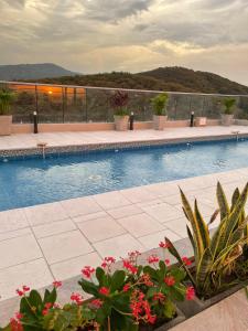 a swimming pool with plants and flowers next to it at Apartasuite moderno y elegante en Playa Salguero in Gaira
