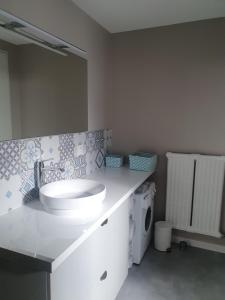 ein weißes Badezimmer mit einem Waschbecken und einer Waschmaschine in der Unterkunft Appartement au rez-de-chaussée d'une maison in Pessac