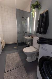 a bathroom with a toilet and a sink and a shower at Apartment Naavis in Rovaniemi