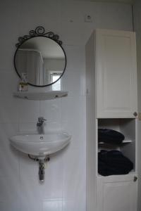 uma casa de banho com um lavatório e um espelho em Veluwe chalet em Putten