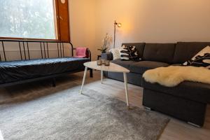 salon z kanapą i stołem w obiekcie Apartment Naavis w mieście Rovaniemi