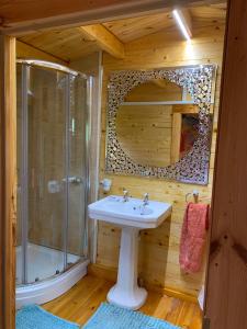 a bathroom with a sink and a shower and a mirror at Songbird Lodge - Near brew pub/10 mins from Snowdon in Caernarfon