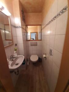 a small bathroom with a sink and a toilet at Apartmenthaus zum Birnbaum in Ansbach