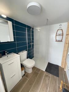 Charmant studio meublé في Pipriac: حمام مع مرحاض ومغسلة