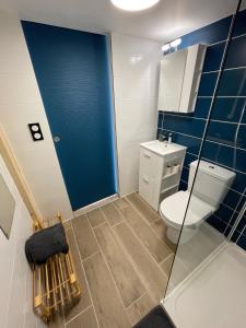 Charmant studio meublé في Pipriac: حمام به مرحاض وجدار أزرق