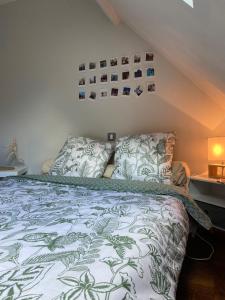 una camera con un letto e un piumone verde e bianco di La Gibriaçoise a Gevrey-Chambertin