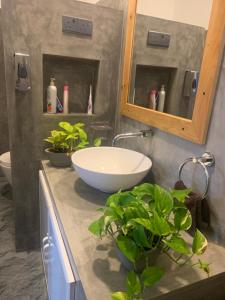 a bathroom with a sink and two plants on a counter at Cozy Homestay in Ella