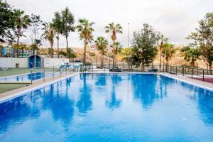 une grande piscine bleue avec des palmiers en arrière-plan dans l'établissement 313 Comfortable! LasAmericas, Swimming Pool,Wi Fi, à Playa de las Americas