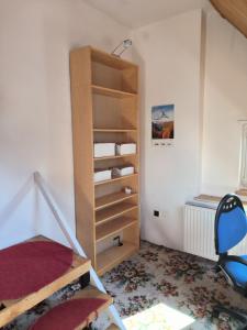 a bedroom with a bunk bed and a book shelf at Ubytování Opava in Opava