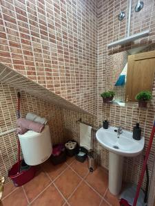 uma casa de banho com um WC e um lavatório em El Sueño de Valcabe em Cardaño de Abajo