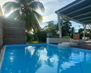 una piscina con una palmera y una casa en Maison avec piscine et jacuzzi, en Lamentin