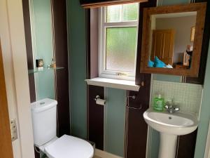 a bathroom with a toilet and a sink and a window at Glasphein Annex Inverness in Culloden