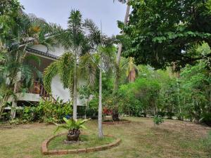 a garden with two palm trees in front of a house at Niniari House in Thongsala