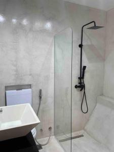 a bathroom with a shower and a sink and a toilet at Studio Palermo Hermoso Con Balcon in Buenos Aires