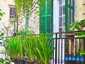 a balcony with green shutters and plants in front of a building at Azalea Apartment in Hanoi