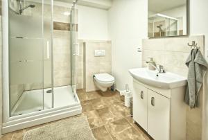 La salle de bains est pourvue d'une douche, d'un lavabo et de toilettes. dans l'établissement Penzion bazén víno sklep U Palečků, à Zaječí
