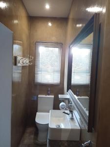 W łazience znajduje się toaleta, umywalka i lustro. w obiekcie The Oak Tree w mieście Queenstown