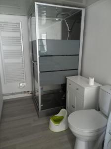 un bagno con wc e doccia in vetro di LA MAISON DE VALERIE a Quézac Altre 5 foto