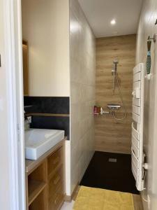 y baño pequeño con lavabo y ducha. en Appartement climatisé avec terrasse, en Cours la Ville