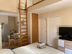 a bedroom with a loft bed and a living room at Appartement climatisé avec terrasse in Cours la Ville