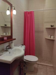 a bathroom with a toilet and a pink shower curtain at Casa Almazara in La Puebla de Cazalla