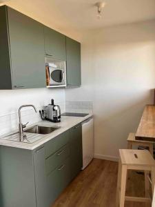 a kitchen with green cabinets and a sink at Studio vue sur l’océan in Saint-Brevin-les-Pins