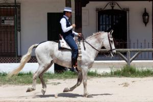 un hombre de uniforme montando un caballo blanco en Villa Luz Deluxe, en Mazagón