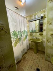 baño con lavabo y cortina de ducha en Panda Hostel Mendoza en Mendoza