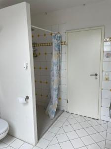 a bathroom with a toilet and a shower door at Schöne Ferienwohnung im Voralpenland in Pfaffing