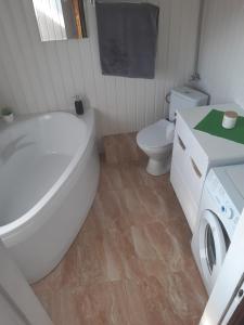 a bathroom with a toilet and a sink and a washing machine at Domek w górach Wioletta in Rycerka Górna