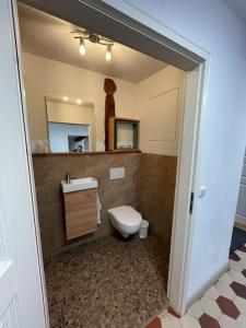 a bathroom with a toilet and a sink and a mirror at Wohnen im Fachwerk - Ferienwohnung Fenja in Nentershausen