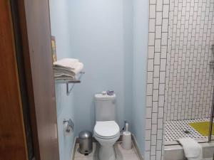 y baño pequeño con aseo y ducha. en KAWETA COTTAGE en Yadinga