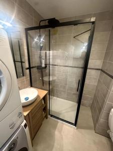 a bathroom with a shower and a sink at Geneva Jungle Loft in Gaillard